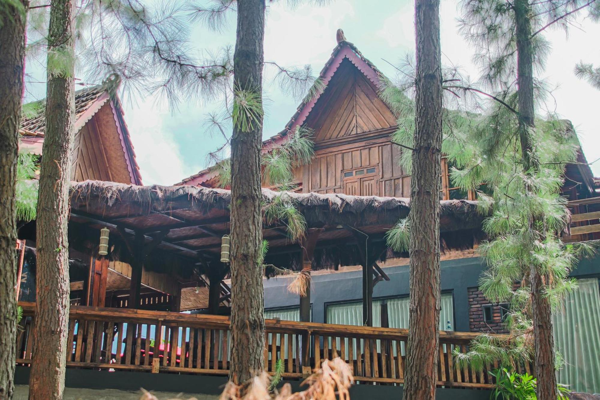 Omah Kayu Bromo Villa Ngadisari Eksteriør bilde
