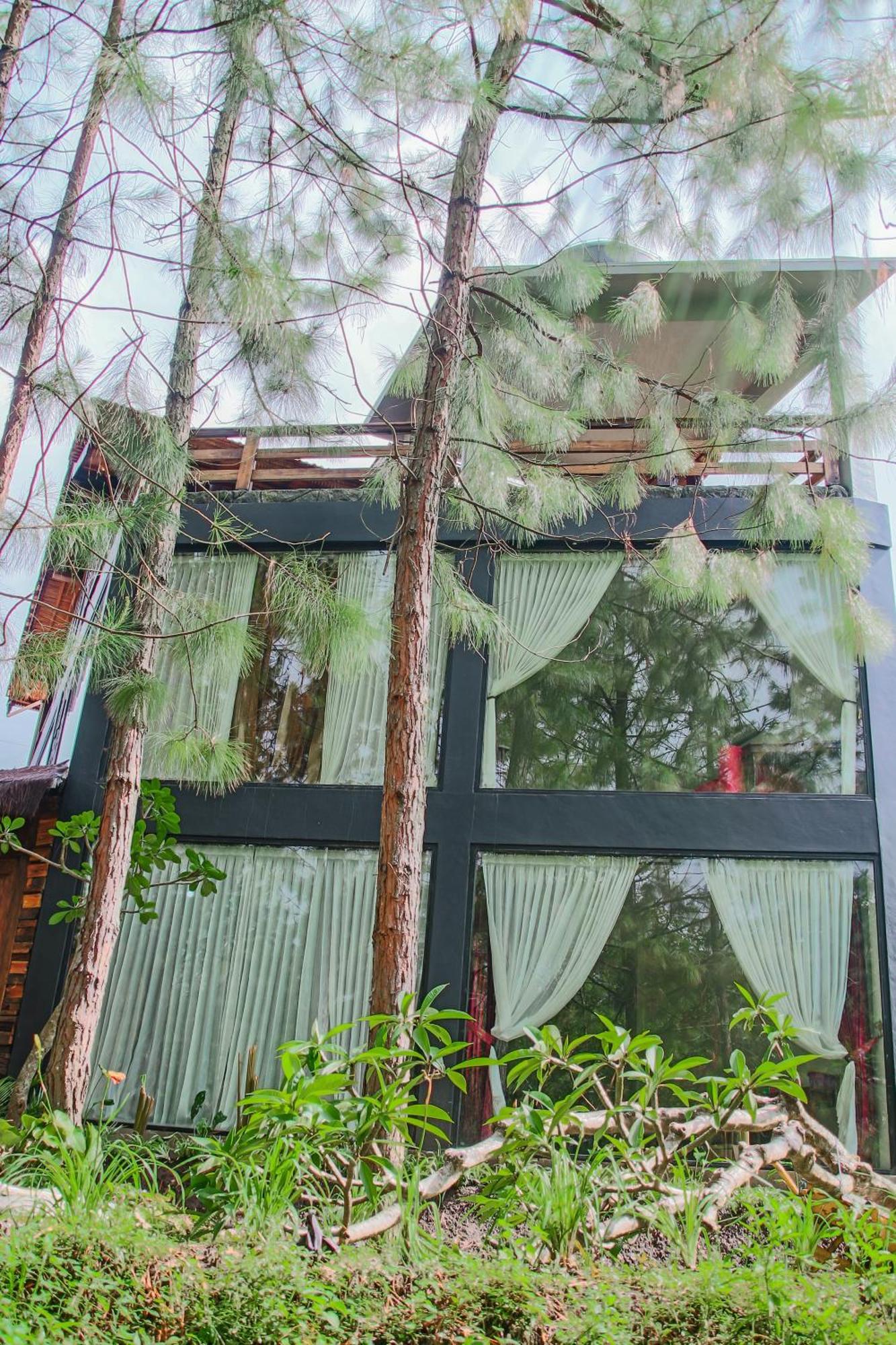 Omah Kayu Bromo Villa Ngadisari Eksteriør bilde