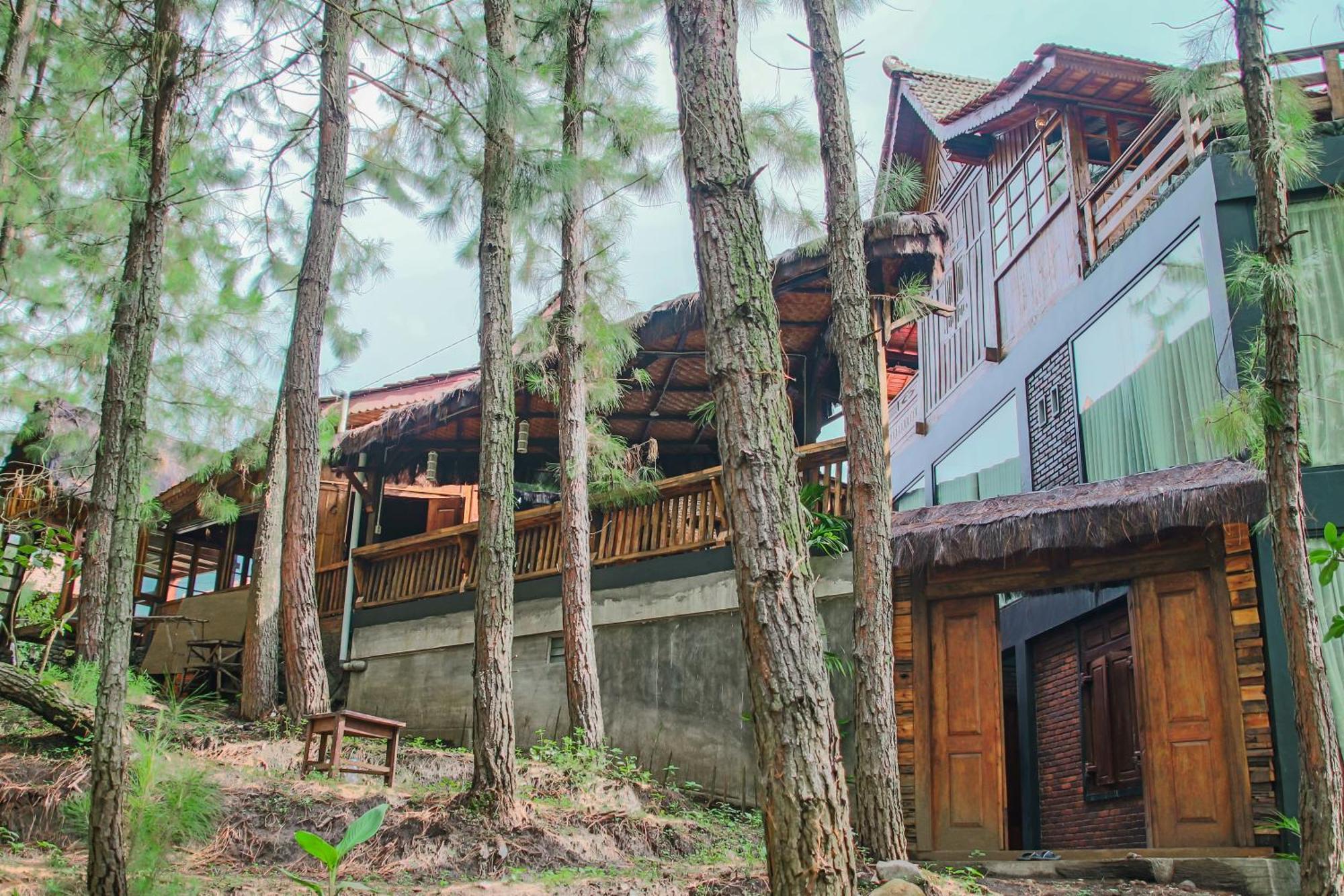 Omah Kayu Bromo Villa Ngadisari Eksteriør bilde