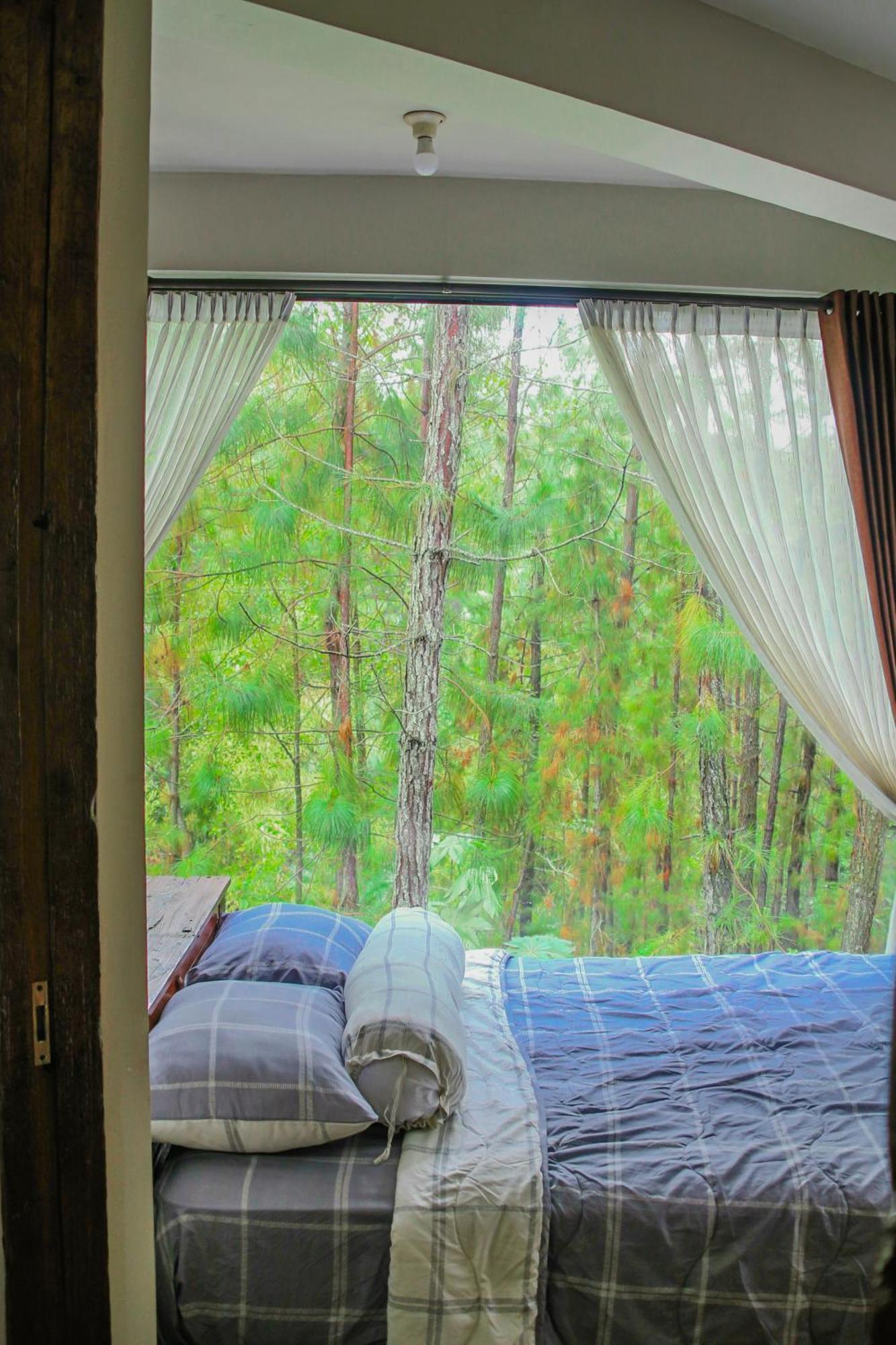 Omah Kayu Bromo Villa Ngadisari Eksteriør bilde